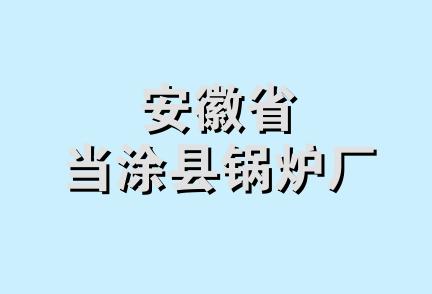 安徽省当涂县锅炉厂