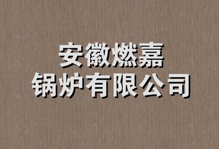 安徽燃嘉锅炉有限公司