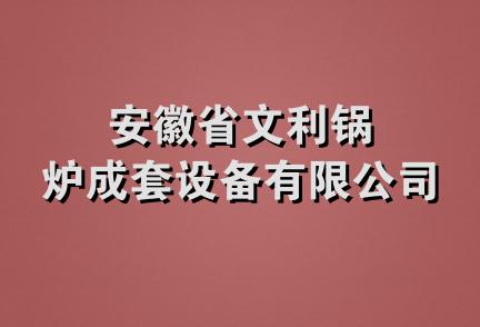 安徽省文利锅炉成套设备有限公司