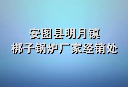 安图县明月镇梆子锅炉厂家经销处