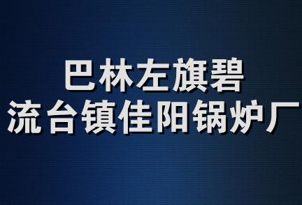 巴林左旗碧流台镇佳阳锅炉厂