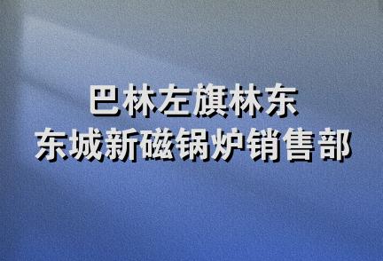 巴林左旗林东东城新磁锅炉销售部