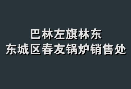 巴林左旗林东东城区春友锅炉销售处