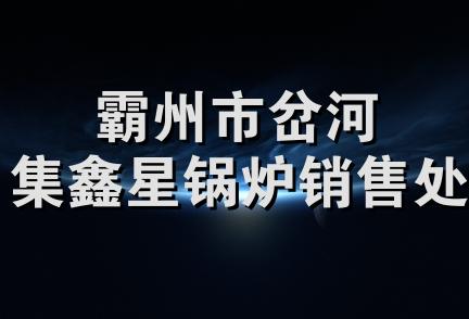 霸州市岔河集鑫星锅炉销售处