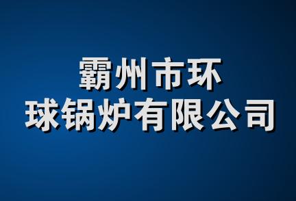 霸州市环球锅炉有限公司