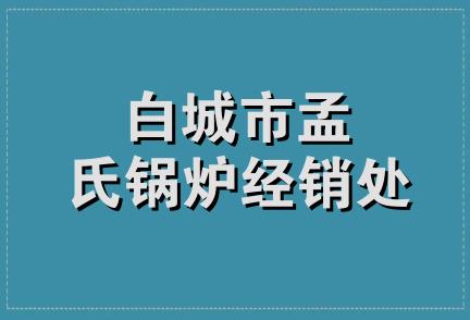 白城市孟氏锅炉经销处