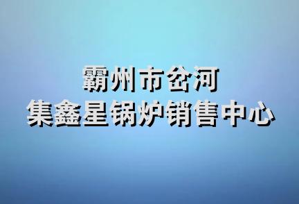 霸州市岔河集鑫星锅炉销售中心