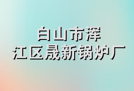 白山市浑江区晟新锅炉厂