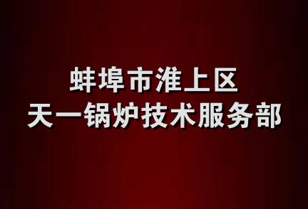 蚌埠市淮上区天一锅炉技术服务部