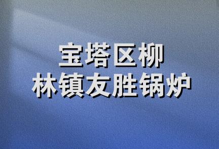 宝塔区柳林镇友胜锅炉