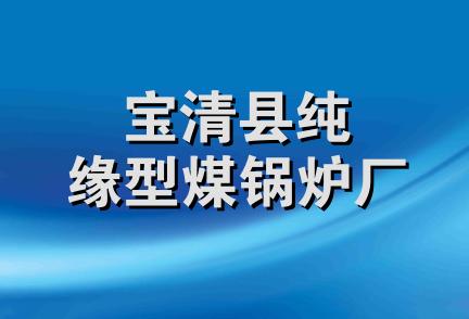 宝清县纯缘型煤锅炉厂