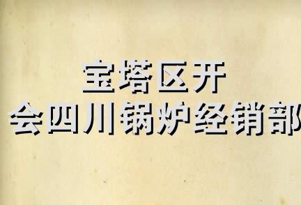 宝塔区开会四川锅炉经销部