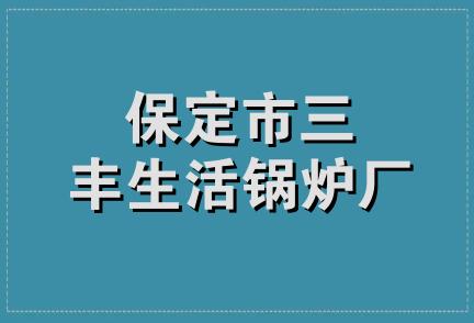 保定市三丰生活锅炉厂