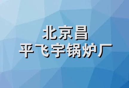 北京昌平飞宇锅炉厂