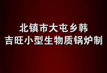 北镇市大屯乡韩吉旺小型生物质锅炉制造厂