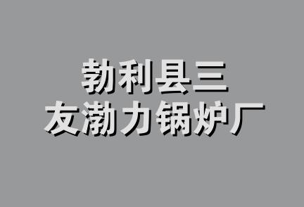 勃利县三友渤力锅炉厂