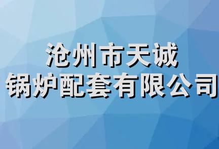 沧州市天诚锅炉配套有限公司