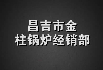 昌吉市金柱锅炉经销部