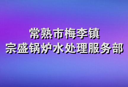 常熟市梅李镇宗盛锅炉水处理服务部