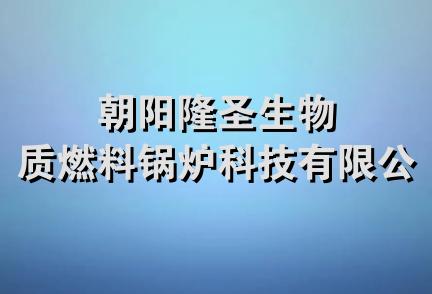 朝阳隆圣生物质燃料锅炉科技有限公司