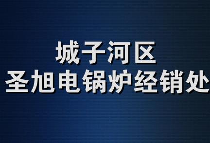 城子河区圣旭电锅炉经销处