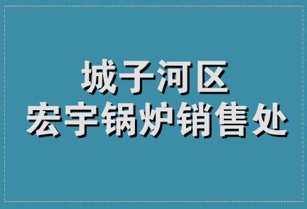 城子河区宏宇锅炉销售处