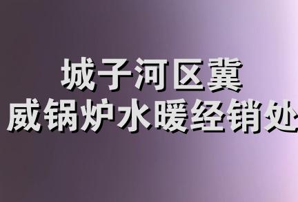 城子河区冀威锅炉水暖经销处