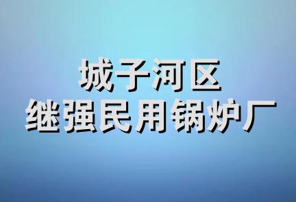 城子河区继强民用锅炉厂