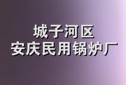 城子河区安庆民用锅炉厂