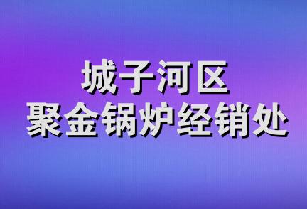 城子河区聚金锅炉经销处