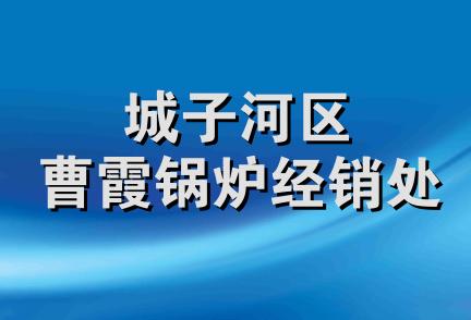 城子河区曹霞锅炉经销处