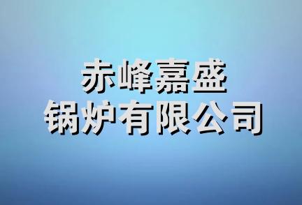 赤峰嘉盛锅炉有限公司