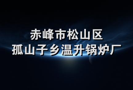 赤峰市松山区孤山子乡温升锅炉厂