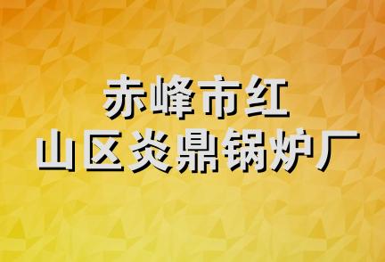 赤峰市红山区炎鼎锅炉厂