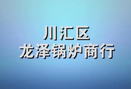 川汇区龙泽锅炉商行