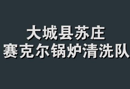 大城县苏庄赛克尔锅炉清洗队