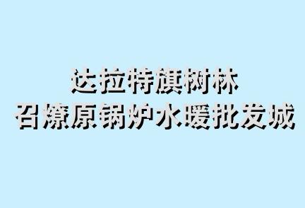 达拉特旗树林召燎原锅炉水暖批发城