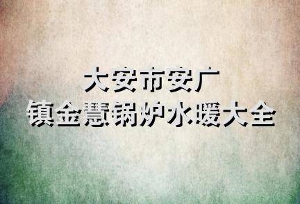 大安市安广镇金慧锅炉水暖大全