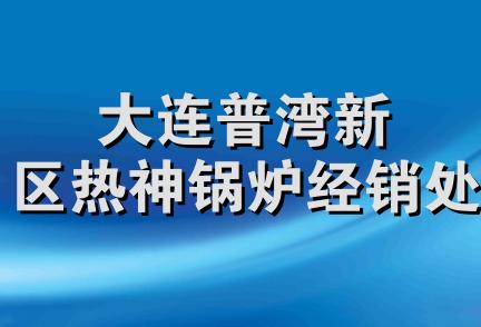 大连普湾新区热神锅炉经销处