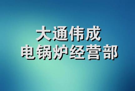 大通伟成电锅炉经营部