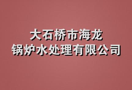 大石桥市海龙锅炉水处理有限公司