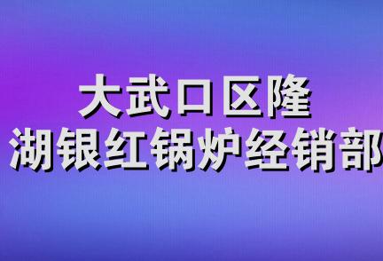 大武口区隆湖银红锅炉经销部