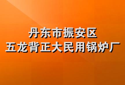 丹东市振安区五龙背正大民用锅炉厂