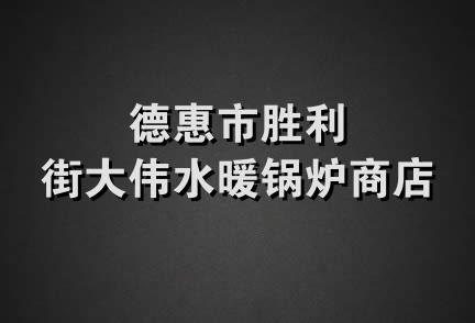 德惠市胜利街大伟水暖锅炉商店