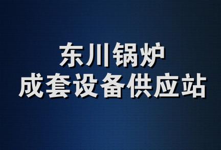 东川锅炉成套设备供应站