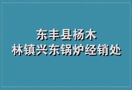 东丰县杨木林镇兴东锅炉经销处