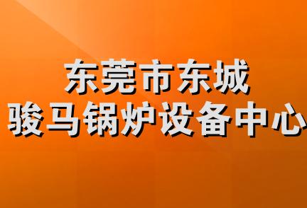 东莞市东城骏马锅炉设备中心