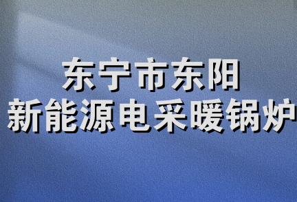 东宁市东阳新能源电采暖锅炉