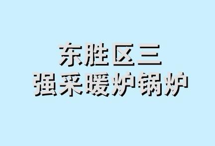 东胜区三强采暖炉锅炉