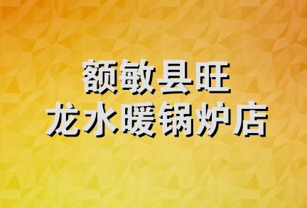 额敏县旺龙水暖锅炉店